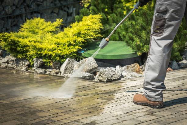 Best Spring Cleaning  in Live Oak, CA