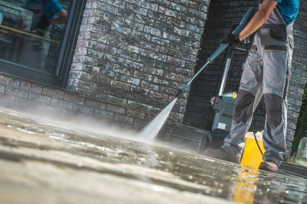 Best Sign and Awning Cleaning  in Live Oak, CA