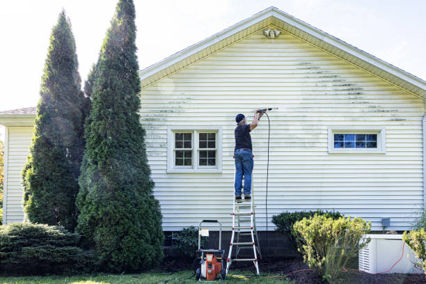 Professional Pressure Washing Services in Live Oak, CA